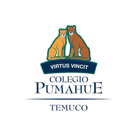 Colegio Pumahue Temuco